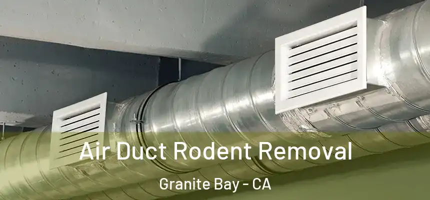  Air Duct Rodent Removal Granite Bay - CA