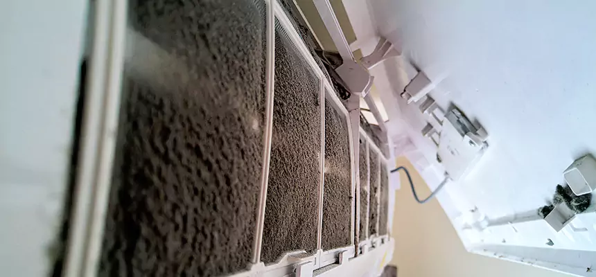 Preventive Air Duct Bacteria Removal in Granite Bay