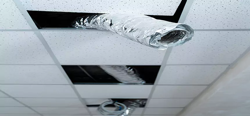 Our Air Duct Pet Hair Removal Services in Granite Bay, CA