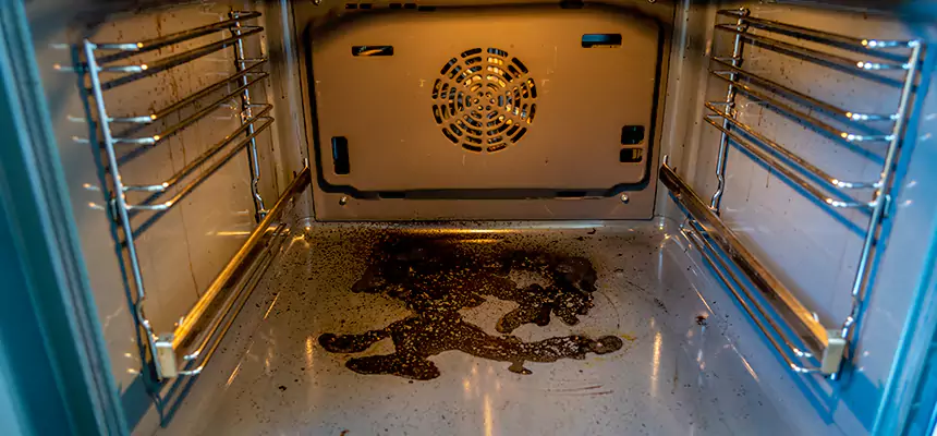 Our Dryer Vent Mold Cleaning Services in Granite Bay, CA