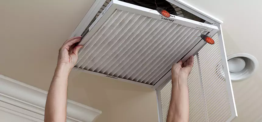 Our Insect Removal from Air Ducts Services in Granite Bay, CA