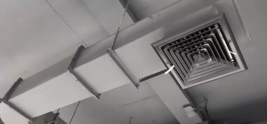 Our Pest Removal From Ducts Services in Granite Bay, CA