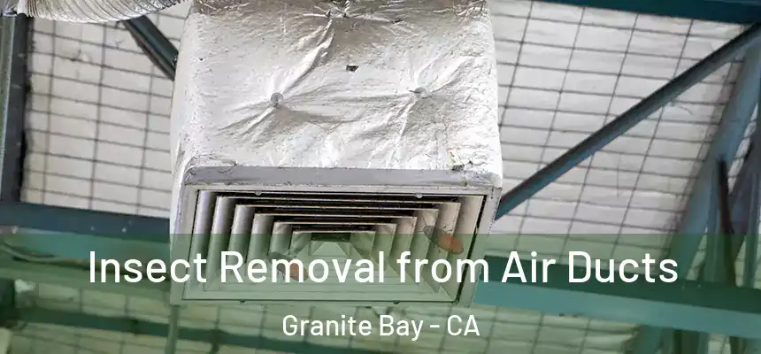  Insect Removal from Air Ducts Granite Bay - CA
