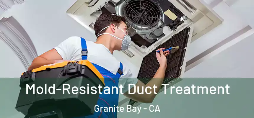 Mold-Resistant Duct Treatment Granite Bay - CA