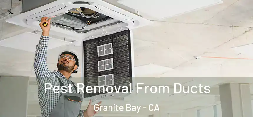  Pest Removal From Ducts Granite Bay - CA