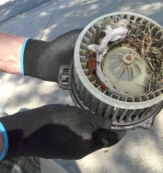 About Air Duct Rat Removal in Granite Bay, CA