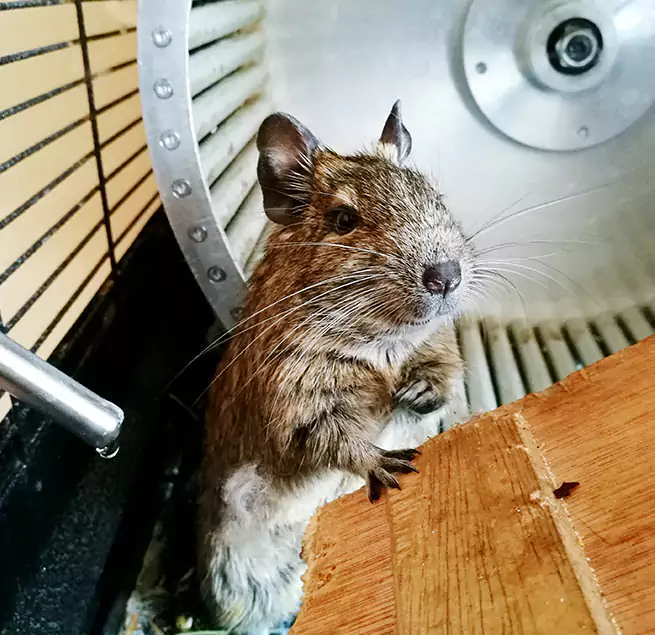 Why Homeowners & Businesses Trust Us Granite Bay, CA